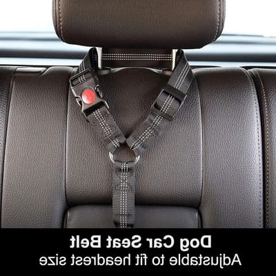 Autogordel Hond - Hondenriem Auto - Veilig Reizen - Elastische Schokdemper - Verstelbaar - Zwart