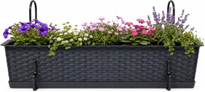 Prosperplast plantenbak Buster - antraciet - rechthoek - met twee ophangbeugels - 60 x 17 x 15 cm - kunststof - bloembakken - potten