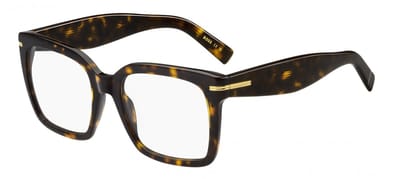 Hugo Boss BOSS 1733 Havana 53/19/145 WOMAN Brilmonturen