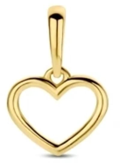 9K Geelgouden 9k hanger hart 12 mm - 8000275