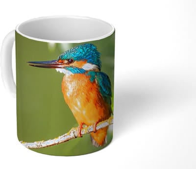 Mok - Koffiemok - Vogel - IJsvogel - Tak - Bladeren - Mos - Mokken - 350 ML - Beker - Koffiemokken - Theemok
