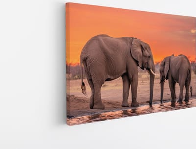 Saammp Canvas Schilderij - Olifant met kalf - Afrika - Dieren - 45x30 - Foto op canvas - Wanddecoratie - muurdecoratie Woonkamer - Slaapkamer decoratie - Canvas Print