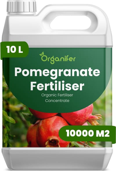 Vloeibare Meststof Voor Granaatappel 10 L Voor 10000 M2 - Npk 2-1-8 - Ondersteunt Krachtige Bloei En Betrouwbare Vruchtzetting - Verbetert Stevigheid - Kleur En Interne Kwaliteit Van De Vruchten - Verbetert De Vitaliteit En Productiviteit - Organifer