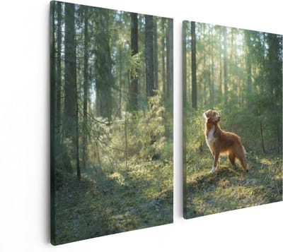 Artaza Canvas Schilderij Tweeluik Retriever Hond In Het Bos Met Zon - 80x60 - Foto Op Canvas - Canvas Print