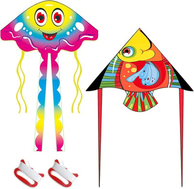Grote Vlieger met Lange Kleurrijke Staarten voor Buitenactiviteiten en Spelletjes, Set van 2 Vliegers voor Kinderen en Volwassenen
