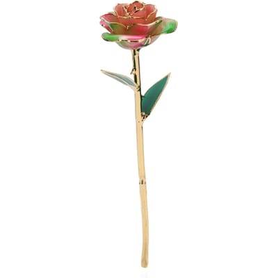 Goudgedipte Roos Decoratief Rijke Betekenissen Stijlvolle Goudgedipte Echte Roos voor Thuis Eettafel beige
