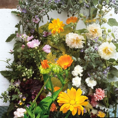 Sluis Garden - Mengsel Eetbare Bloemen en Kruiden