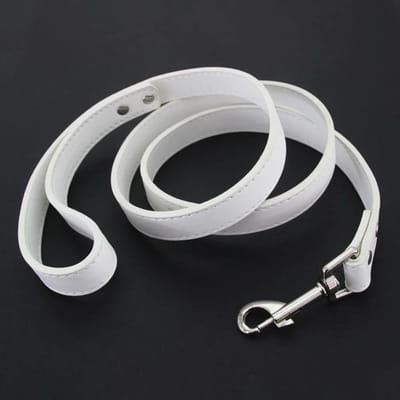 Lederen Kat Honden Leashes Kleurrijke Puppy Wandel Leashes Tuig Halsband Lijn Touw Voor Kleine Middelgrote Grote Honden Huisdierbenodigdheden 1.2M M