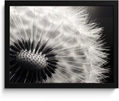 Poster in lijst - Fotolijst 40x30 cm - Posters - Paardenbloem - Zwart - Wit - Posterlijst zwart - Decoratie - Wanddecoratie woonkamer - Muurdecoratie slaapkamer