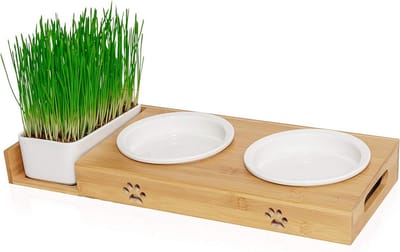 Voederstation met kattengras - Verhoogde voerbak - Gezond eten stimuleren - Anti-stress ontwerp - 44 x 18 x 6 cm