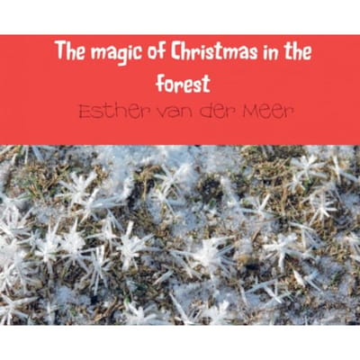 The Magic Of Christmas In The Forest - Esther van der Meer - van der Me