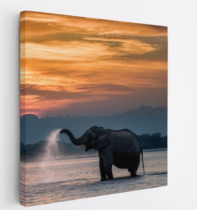 Saammp Canvas Schilderij - Olifanten in het water - Afrika - Dieren - 20x20 - Foto op canvas - Wanddecoratie - muurdecoratie Woonkamer - Slaapkamer decoratie - Canvas Print