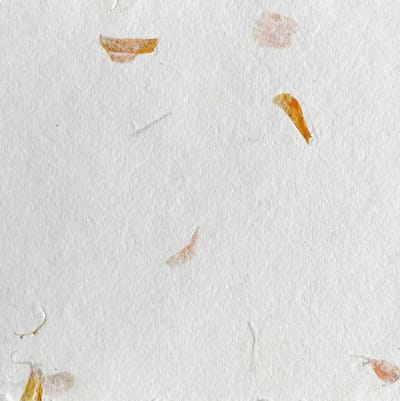 Set van 20 kaarten, Tree Free katoenpapier, A5, met bloemen, schepranden, 250grs