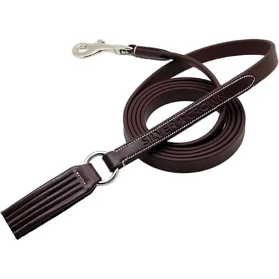 Hondenhalsband Silver Crown Deauville