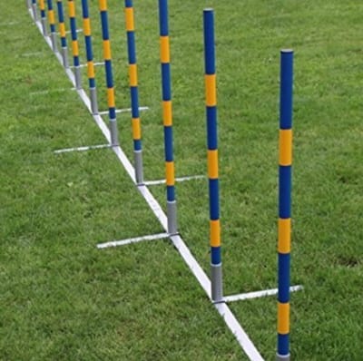 Agility Slalomset Palenset Professioneel - 12 Palen - Recht - Slalompalen - Slalom Stokken - Honden Training Sport en Wedstrijd - Agility en Behendigheid Hond - Outdoor Agility Toestel