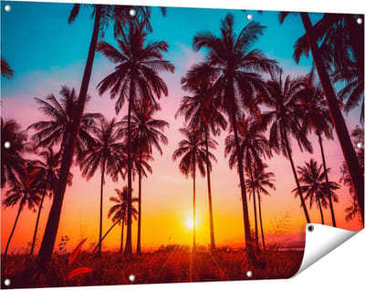 Gards Tuinposter Palmbomen op het Strand bij Zonsondergang - 120x80 cm - Tuindoek - Tuindecoratie - Wanddecoratie buiten - Tuinschilderij