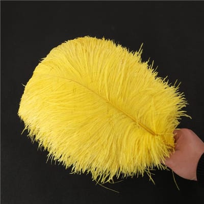 Allecto - Natuurlijke Struisvogelveren - Knutselen - 30-35 cm - Decoratie - Dromenvanger - Voor Feestjes - Accessoires