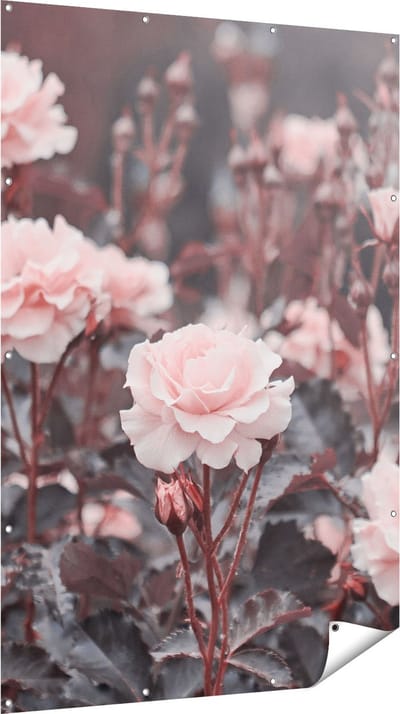 Gards Tuinposter Roze Rozen Bloemen - 120x180 cm - Tuindoek - Tuindecoratie - Wanddecoratie buiten - Tuinschilderij