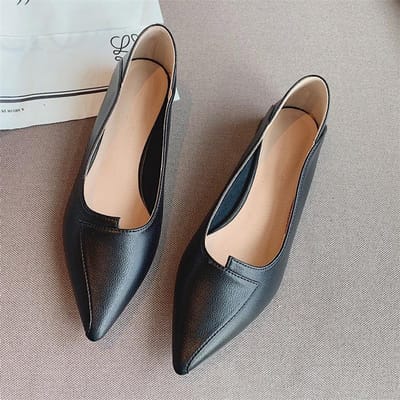 Schoenen Dames Lage Hak Twee-weg Pumps Franse Stijl Puntige Neus Authentiek Leer Zachte Zool Blokhak Lage Blokhak Koreaanse Stijl 39