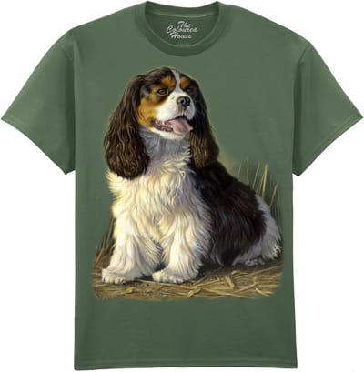 Cavalier King Charles The Coloured House T-shirt M