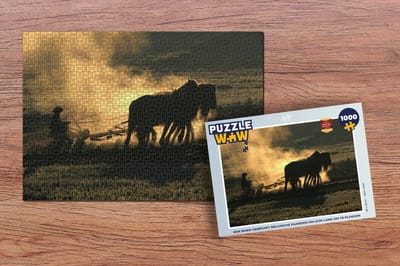 Puzzel Een boer gebruikt Belgische paarden om zijn land om te ploegen - Legpuzzel - Puzzel 1000 stukjes volwassenen