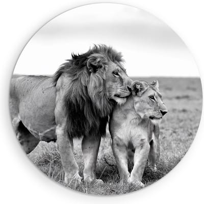 Saammp Muurcirkel Hout - Leeuwen Koppel - Serangeti - Afrika - Dieren - Natuur - Ø 90 - Wandcirkel - Wanddecoratie Cirkel - Muurdecoratie Woonkamer - Slaapkamer decoratie - Rond Schilderij