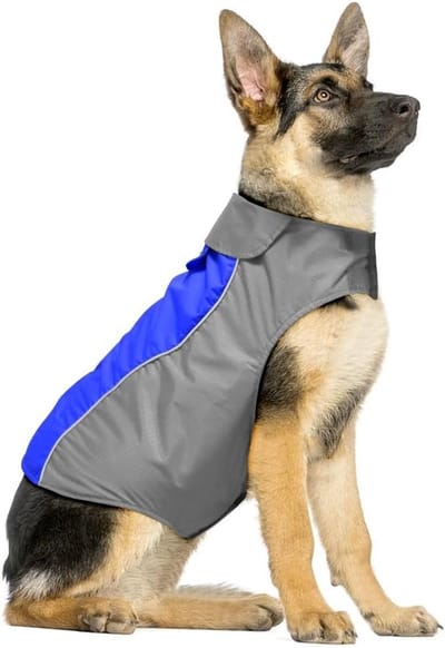 Hondenregenjas - Hondenjas warm - Bescherming tegen weer - Reflecterende strepen - XXXL - Blauw