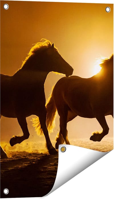 Gards Tuinposter Silhouet van Twee Paarden - 40x60 cm - Tuindoek - Tuindecoratie - Wanddecoratie buiten - Tuinschilderij