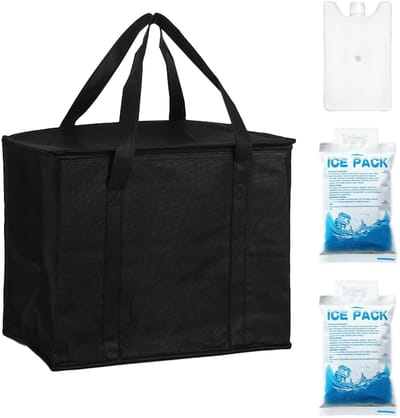 Dailygoods- Koeltas 35L - Opvouwbaar - Thermisch - Isolerend - Herbruikbaar - Ideaal voor picknick/kampeertrip