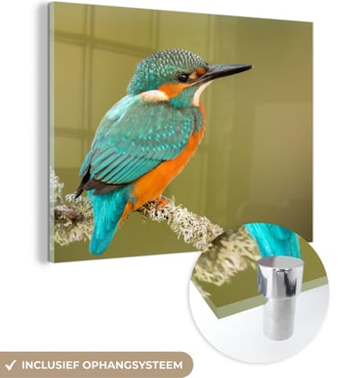 MuchoWow® Glasschilderij 40x30 cm - Schilderij acrylglas - IJsvogel - Dieren - Vogel - Foto op glas - Schilderijen
