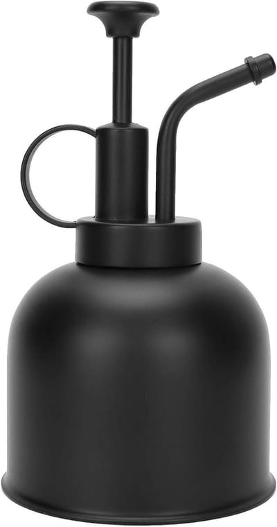Mini Gieter - Planten Spuitfles - Planten Verzorgen - Fijne Mistspray - 300 ml - Transparant