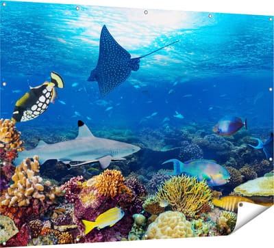 Gards Tuinposter Vissen met Koraalrif in de Oceaan - 160x120 cm - Tuindoek - Tuindecoratie - Wanddecoratie buiten - Tuinschilderij