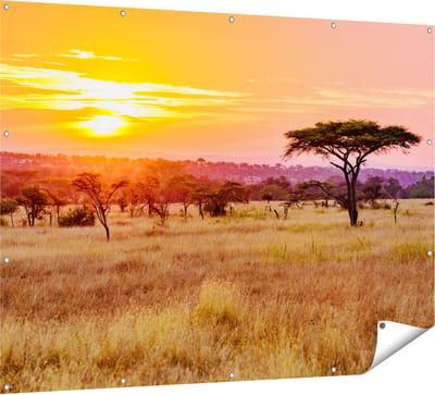 Gards Tuinposter Zonsondergang in de Savanne - 160x120 cm - Tuindoek - Tuindecoratie - Wanddecoratie buiten - Tuinschilderij