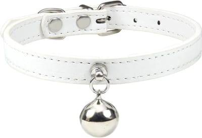 Kattenhalsband met Belletjes - Halsband voor Huisdieren - Wit