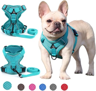 Verstelbaar Anti-Trek Huisdierharnas voor Kleine Honden en Puppy's - Inclusief Wandellijn
