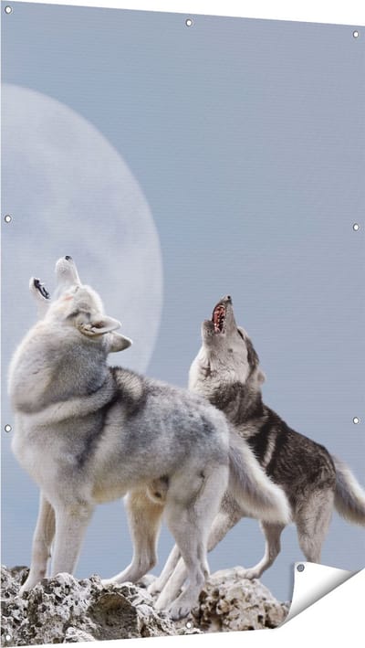 Gards Tuinposter Twee Wolven Die Huilen tijdens Volle Maan - 100x150 cm - Tuindoek - Tuindecoratie - Wanddecoratie buiten - Tuinschilderij