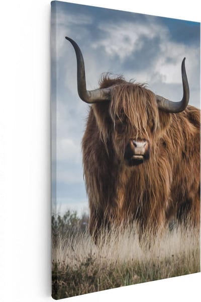 Artaza Canvas Schilderij Hooglander - 20x30 cm - Klein - Muurdecoratie Gewei - Wanddecoratie Woonkamer - Kamer Accessoires