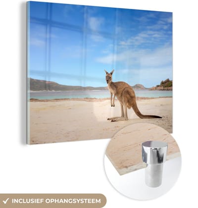 MuchoWow® Glasschilderij 120x90 cm - Schilderij acrylglas - Strand - Kangoeroe - Australië - Foto op glas - Muurdecoratie woonkamer - Wanddecoratie slaapkamer - Schilderijen