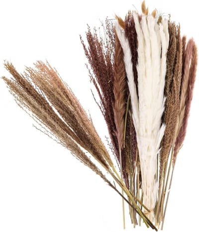 Droogbloemen Boeket - Gedroogde Planten - Woonkamer Decoratie - Natuurlijk Effect - 44.5X20CM - Diverse kleuren