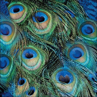 Ambiente Servetten 20pcs / 33 x 33cm, Peacock feathers