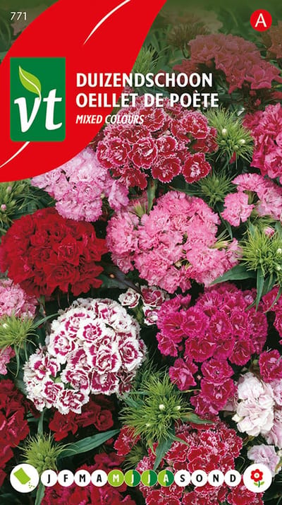 Duizendschoon Dubbel - Kleurrijke Bloemenzadenmix voor Romantische Tuinen en Borders