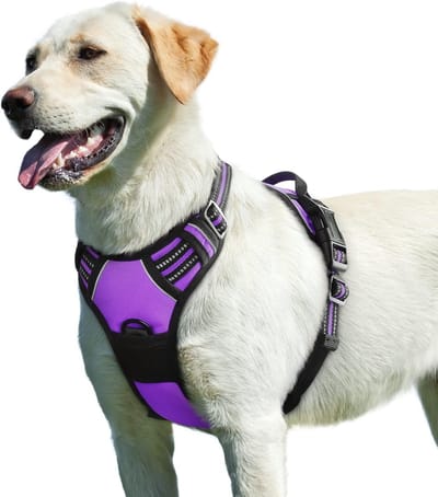 Hondentuig No Pull, Hondenharnas voor Grote Honden, Verstelbare Harnas Hond met Reflecterend Strepen, Gewatteerd Zacht Ademend, Hondentuigje Anti-trek voor Wandelen Training, Paars L