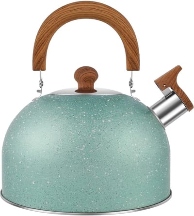 Waterketel Roestvrij Staal - Theeketel Fluitketel - Water Koken - Automatische Fluitfunctie - 3 Liter - Groen
