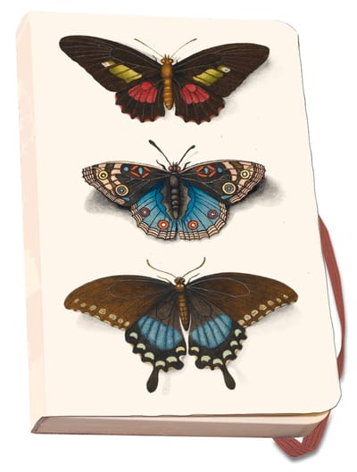 Bekking & Blitz - Notitieboek A6 - Luxe uitvoering - Kunst - Zachte kaft - Vlinders - Butterflies - Joseph Jakob von Plenck - The Fitzwilliam Museum Cambridge - Uniek design