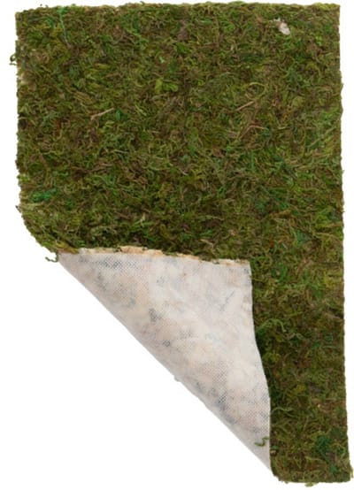 Hobby Terrano mosdecoratie 100 g veenmos op vlies voor terrarium