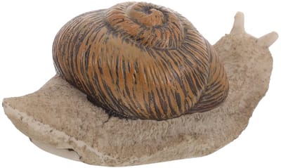 Dailygoods- Sleutelopbergsteen - Sleutel schuilplaats voor buiten - Kunststeen - Sleutelhouder - Sleutelverstopplaats - Veiligheid voor reservesleutel
