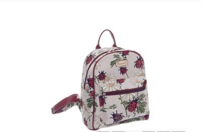 Daypack - Rugtas - Lieveheersbeestje