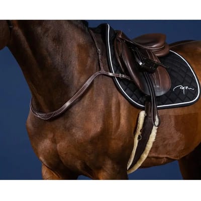 Jachthalsbanden en martingales voor paarden Dy'on