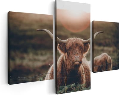 Artaza Canvas Schilderij Drieluik Schotse Hooglander Koe In De Zon - 90x60 - Foto Op Canvas - Canvas Print