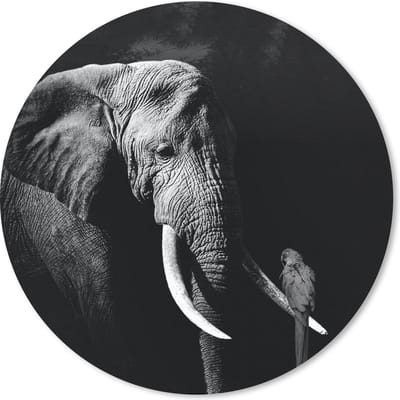 Muismat rond 20x20 cm - Mousepad Olifant - Papegaai - Tanden - Zwart - Wit - Ronde muismatten